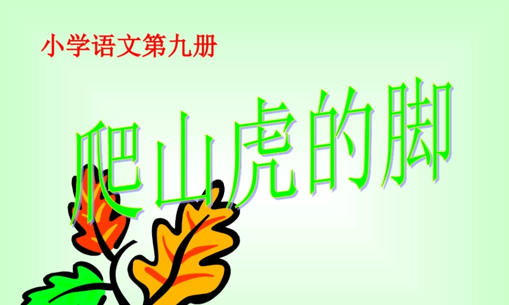 爬山虎的脚黄雪梅