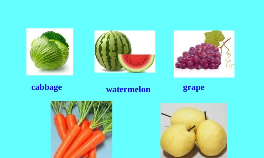 冀教版七年级英语lesson21课件 (2)