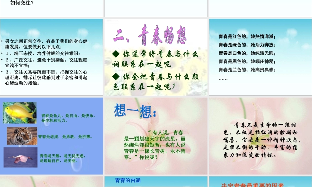 《青春期》参考扩展课件