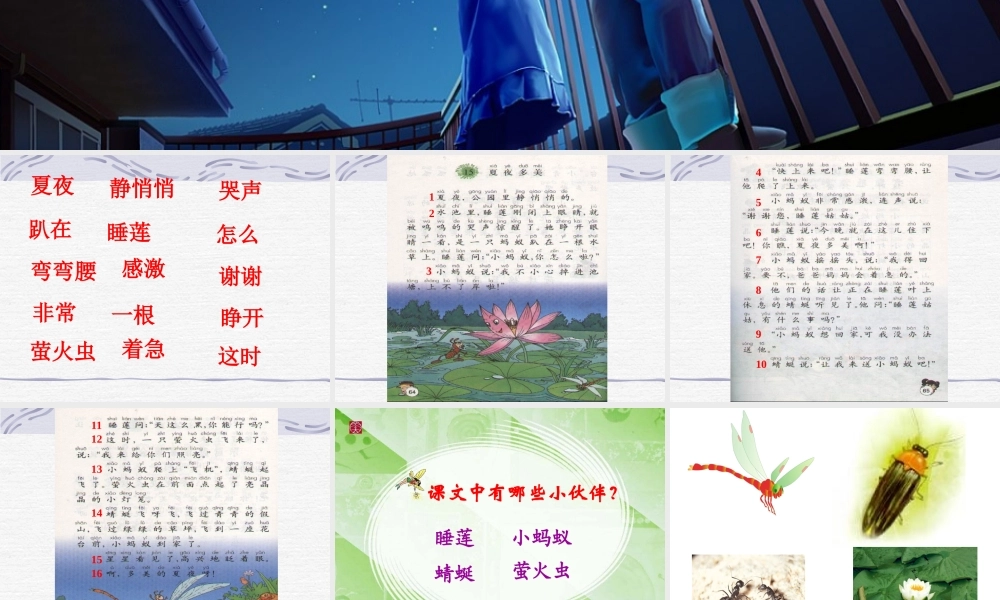 小学语文一年级下_夏夜多美