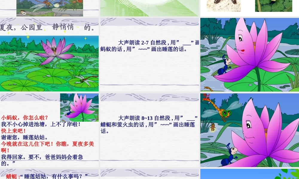 小学语文一年级下_夏夜多美