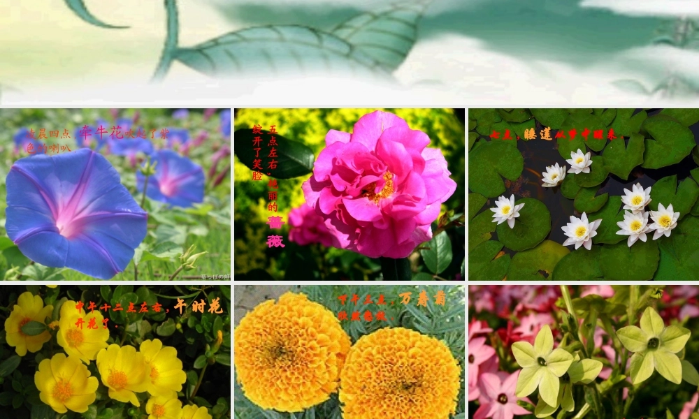 语文三年级上册《花钟》