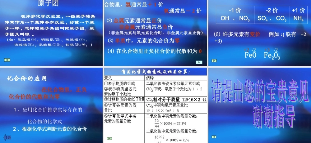 -化学式与化合价