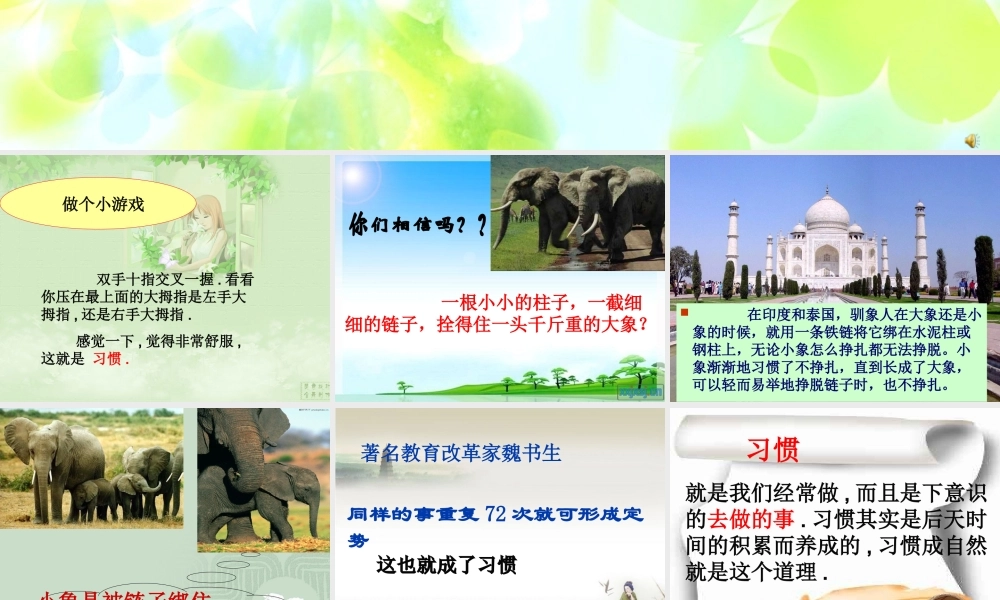 让优秀成为一种习惯（班会）