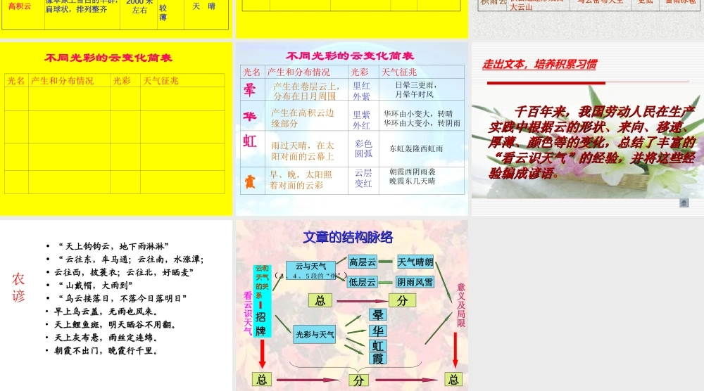 看云识天气PPT