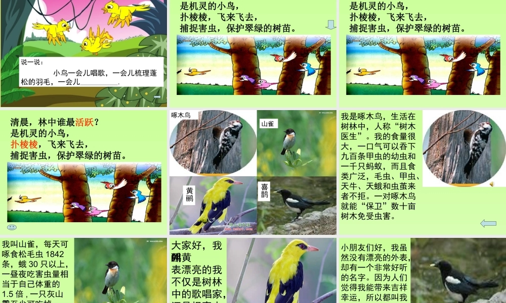 【红领巾真好】__课件 ()