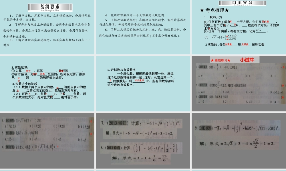 中考复习课：实数