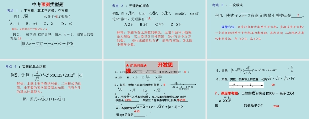 中考复习课：实数