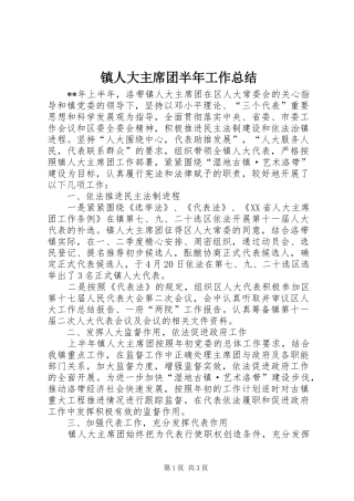 镇人大主席团半年工作总结