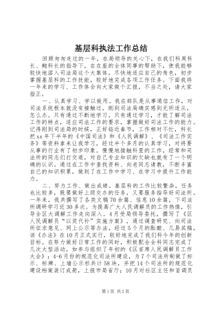 基层科执法工作总结