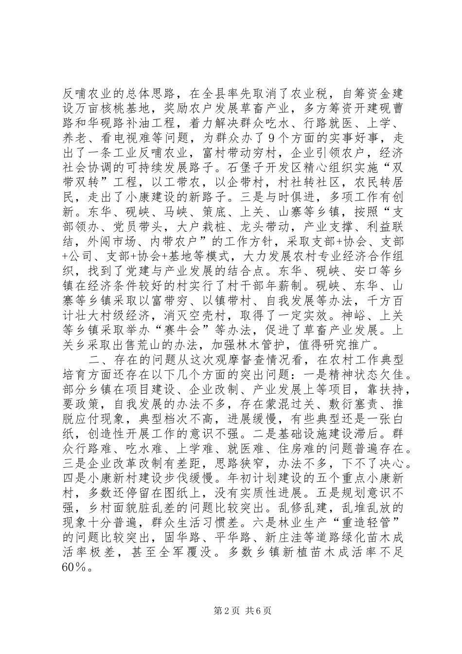 农村工作典型观摩督查总结会讲话稿_1_第2页