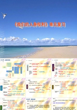 我们的人身权利单元复习