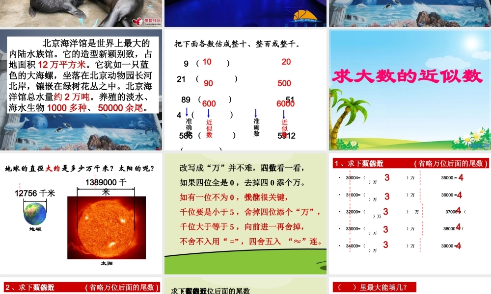 求大数的近似数