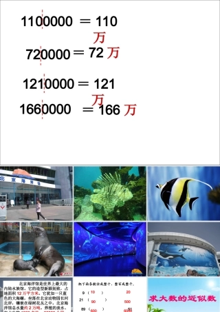 求大数的近似数