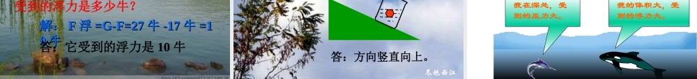 探究——影响浮力大小的因素