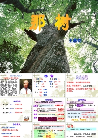 那树__优质课件