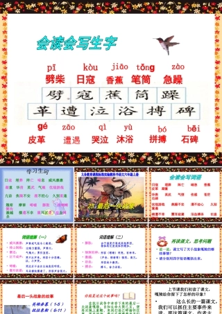 《最后一头战象》课件