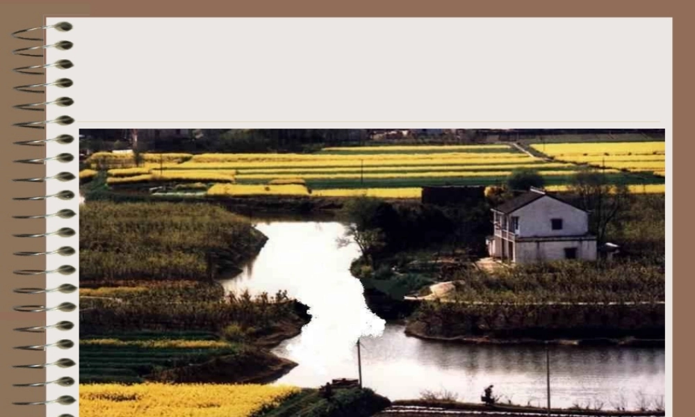 桥之美网络资源