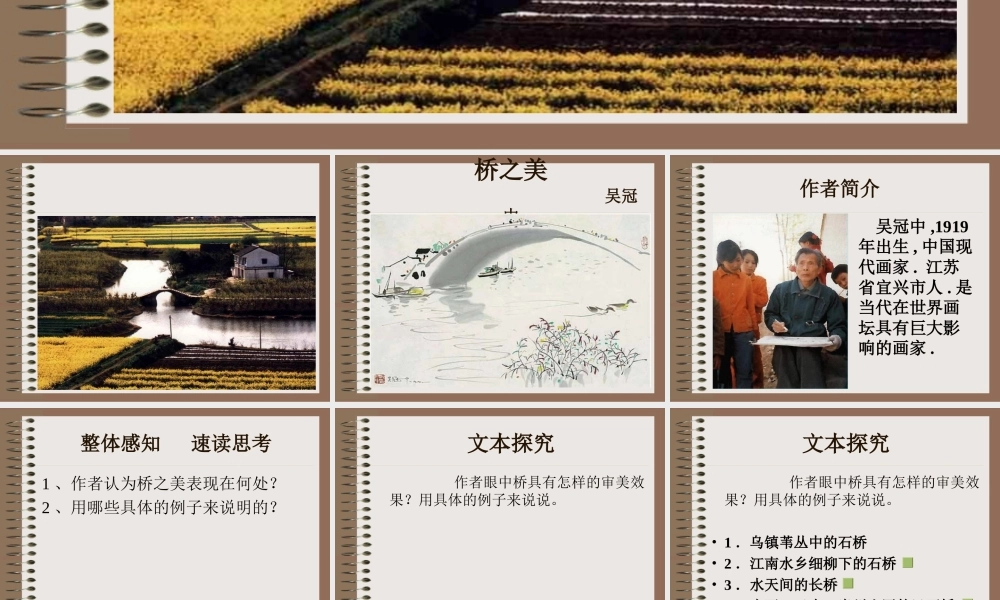 桥之美网络资源