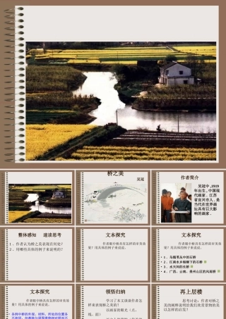 桥之美网络资源