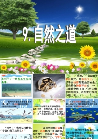 《自然之道》课件2