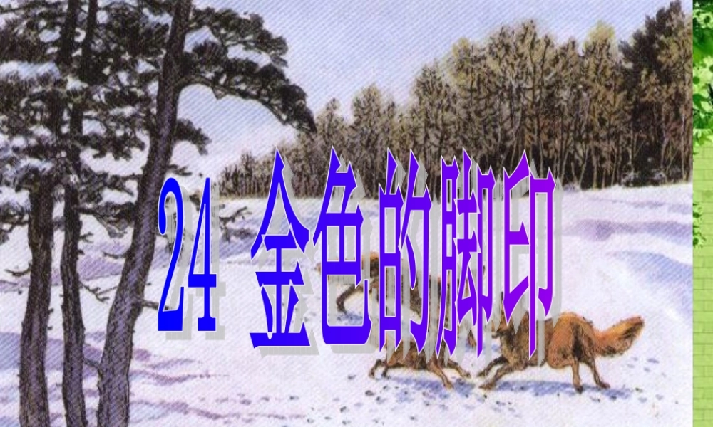 金色的脚印课件 (2)