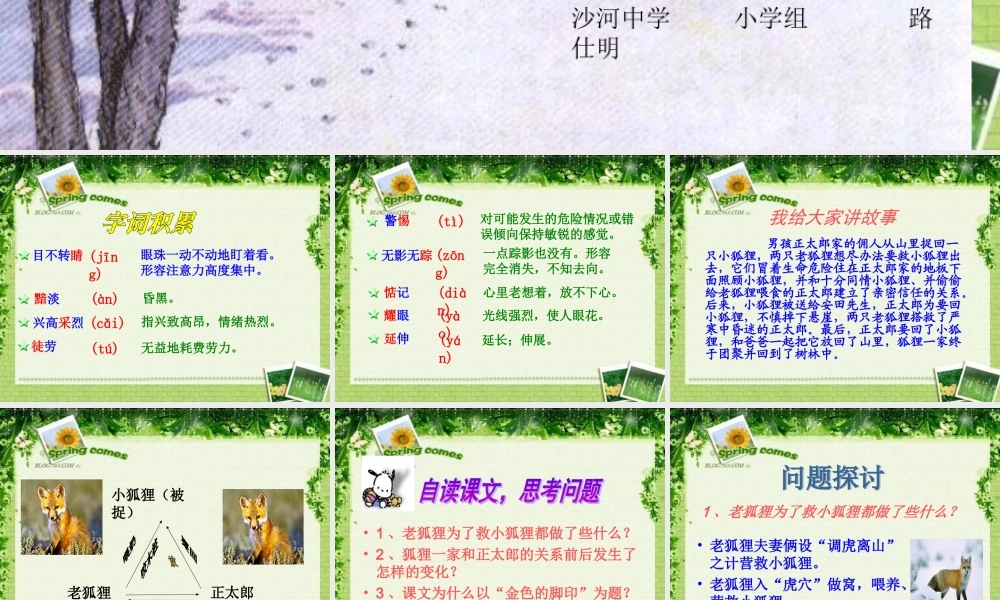 金色的脚印课件 (2)