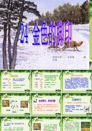 金色的脚印课件 (2)