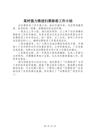 某村强力推进扫黑除恶工作小结