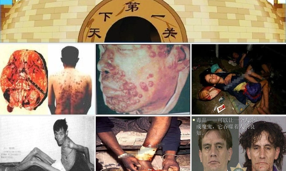 禁毒主题班会PPT