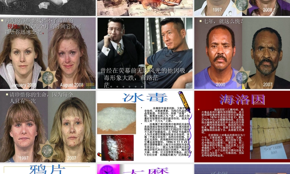 禁毒主题班会PPT