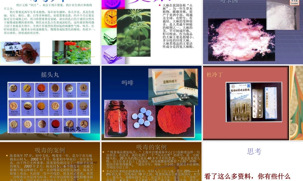 禁毒主题班会PPT