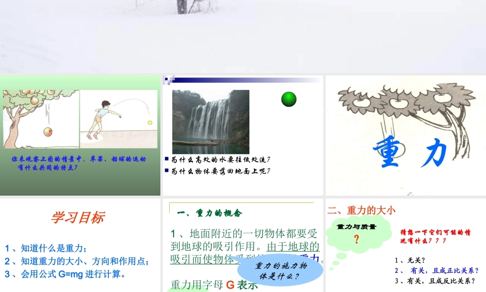 八年级物理重力课件