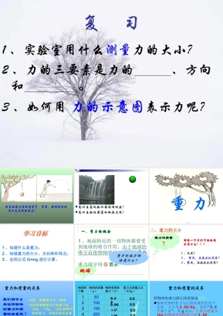 八年级物理重力课件