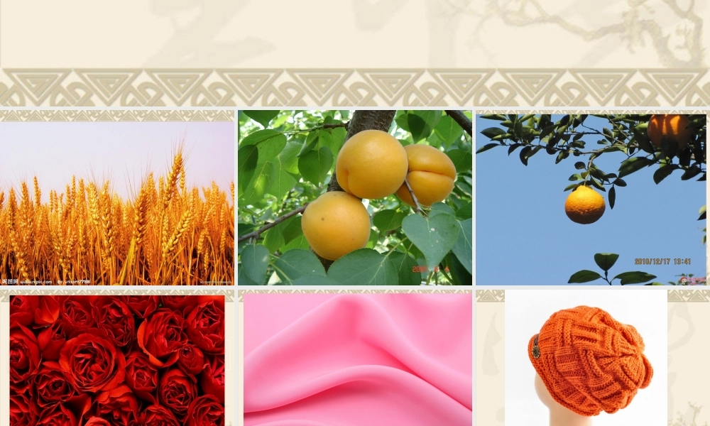 园地三颜色的词