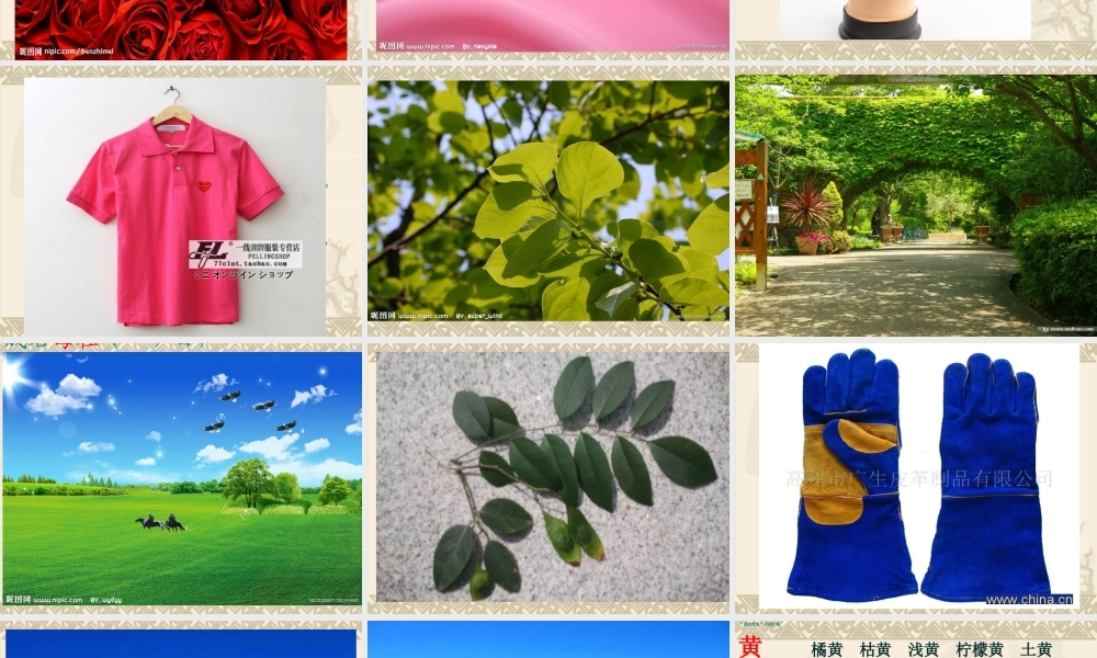 园地三颜色的词