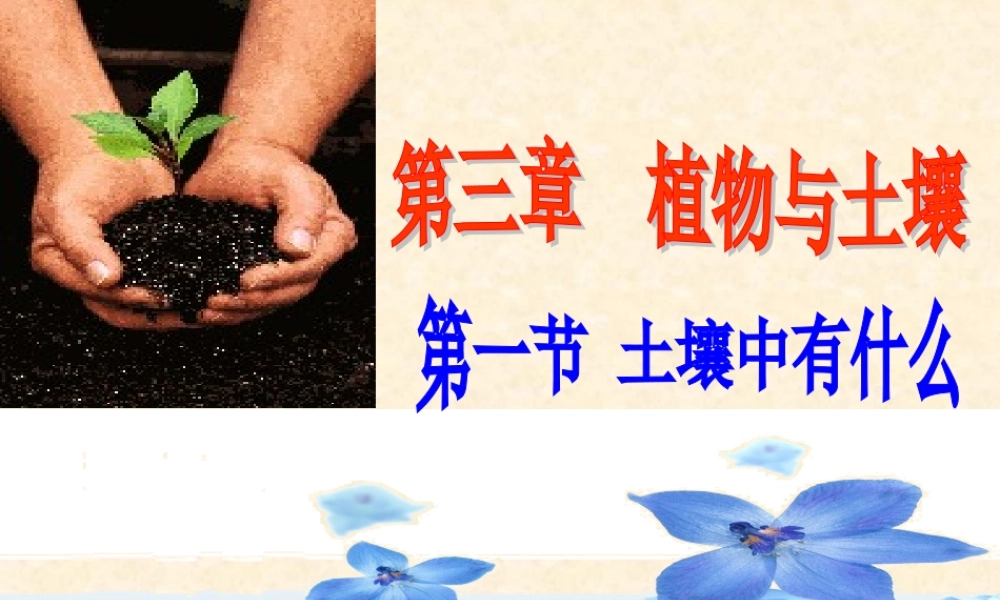 土壤中有什么 (2)