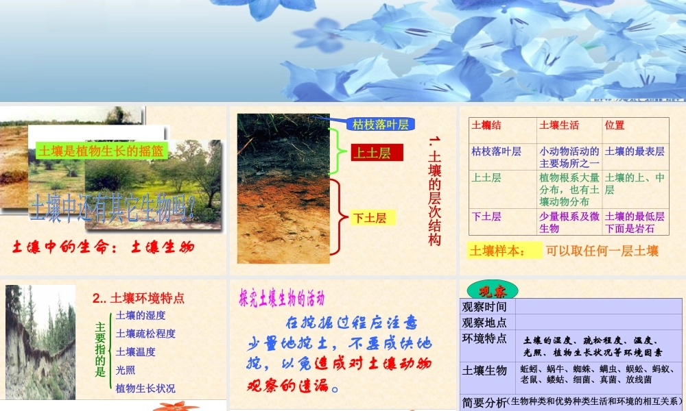 土壤中有什么 (2)