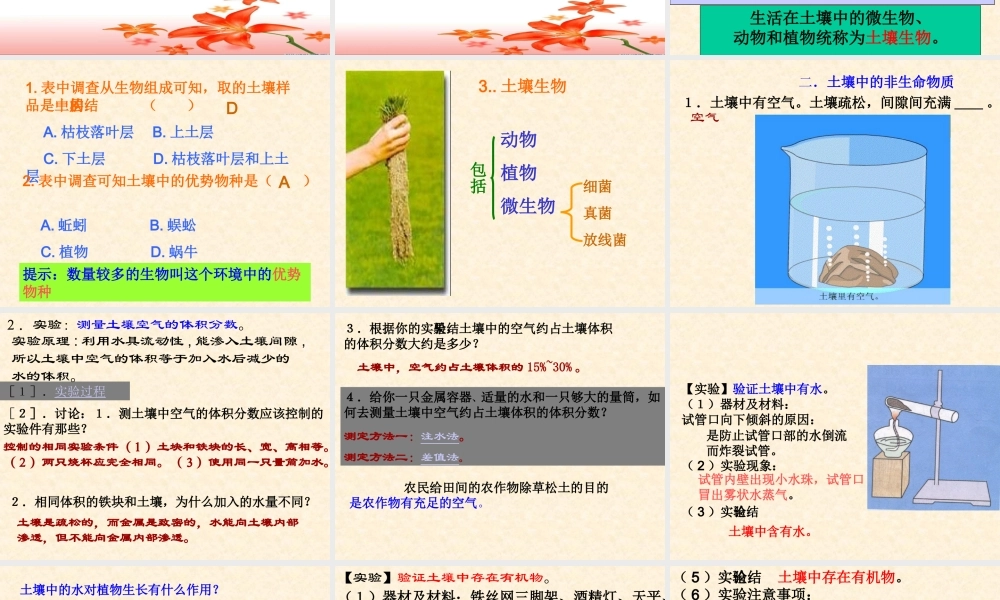 土壤中有什么 (2)