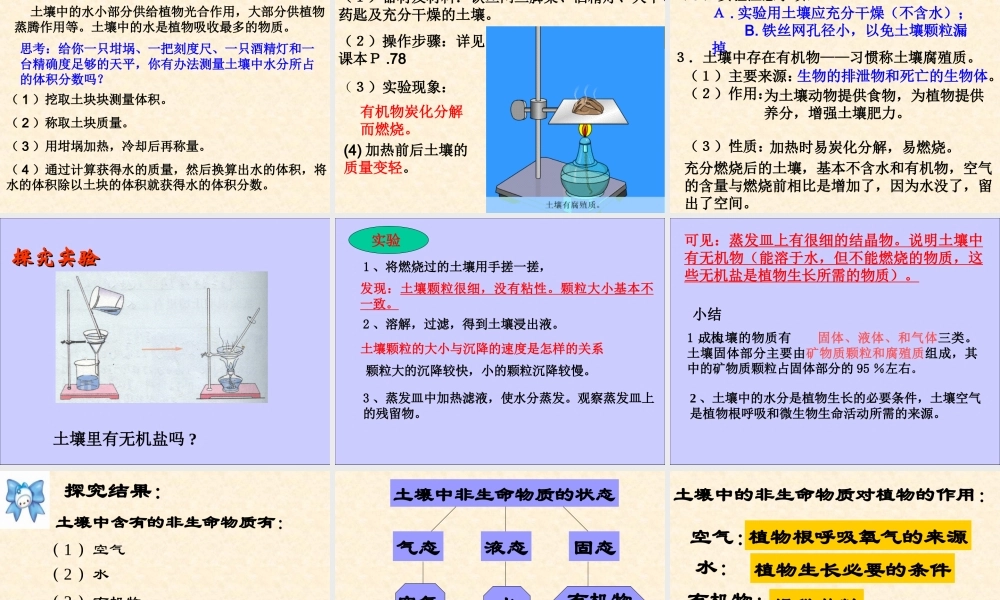 土壤中有什么 (2)