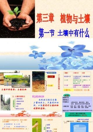 土壤中有什么 (2)