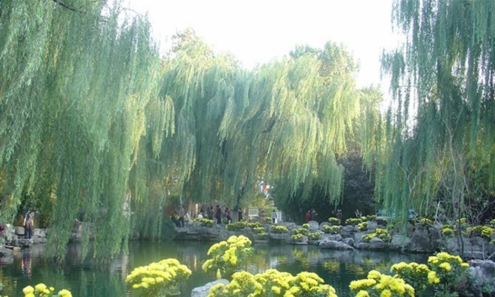 八年级生物下册第七单元第三章第一节_地球上生命的起源课件