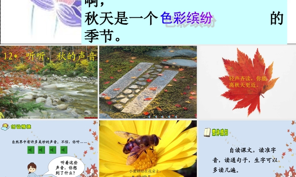 听听_秋的声音课件