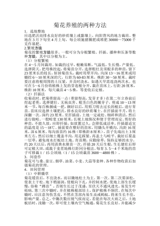 菊花养殖的两种方法