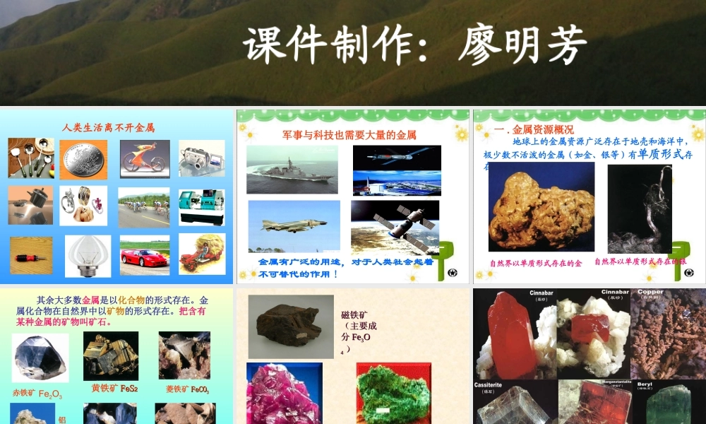 金属资源利用与保护 (2)