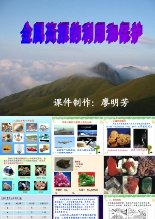 金属资源利用与保护 (2)