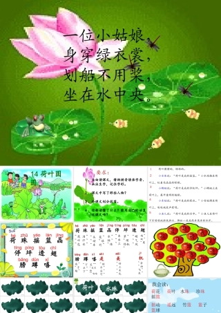 一下荷叶圆圆课件 (2)