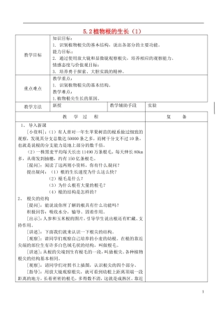 植物根的生长教案苏教版