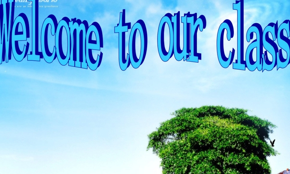 名词专项复习课件