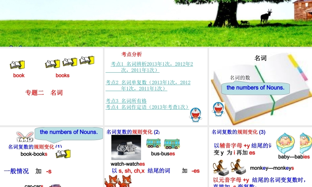 名词专项复习课件